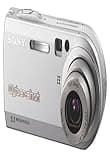 SONY DSC-P100
