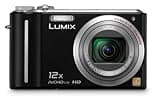 Panasonic DMC-FZ100